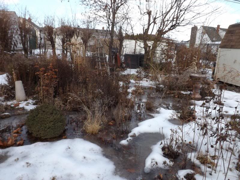 1st- Jan 2014 photo 1_zpsdde23828.jpg